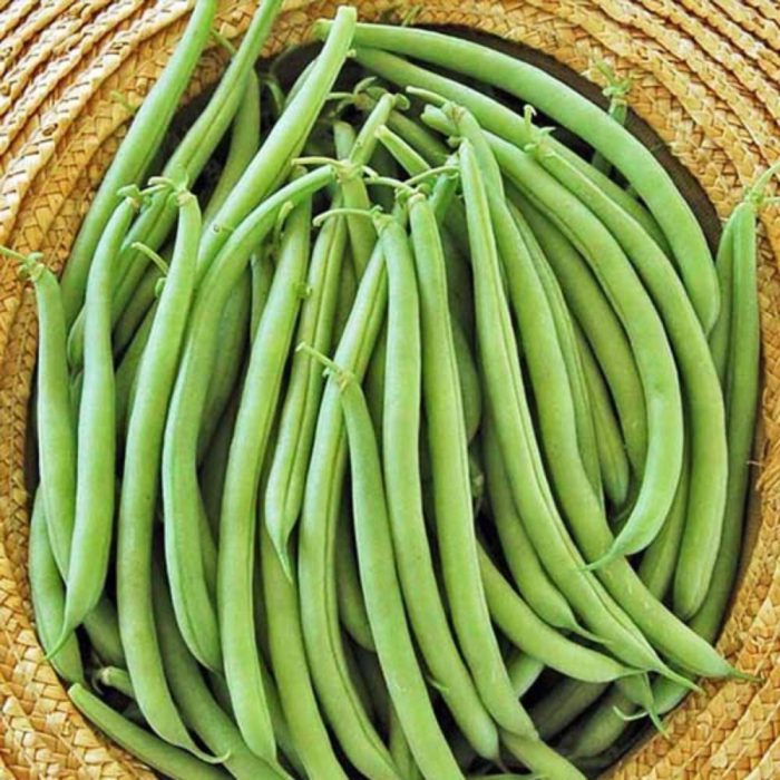 لوبیا سبز (1)