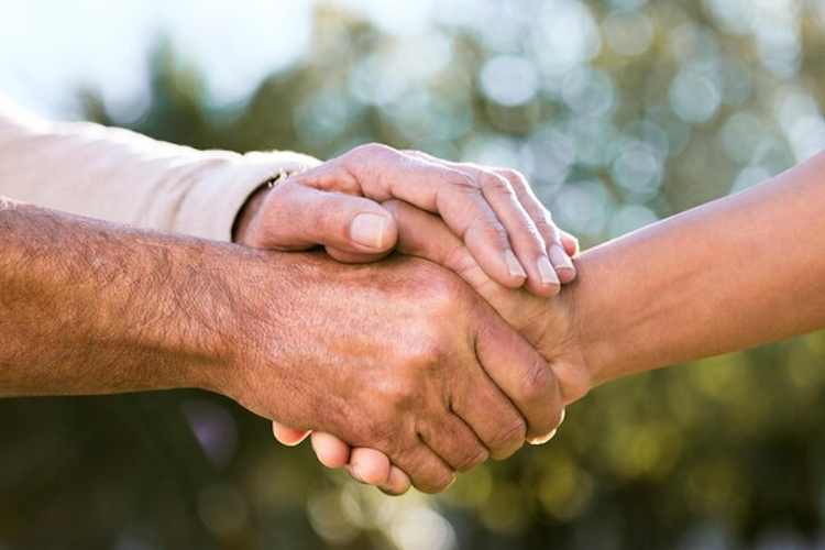 بی تو وال؛ بازار آنلاین تخصصی برای خرید و فروش محصولات کشاورزی و صنعتی در ایران