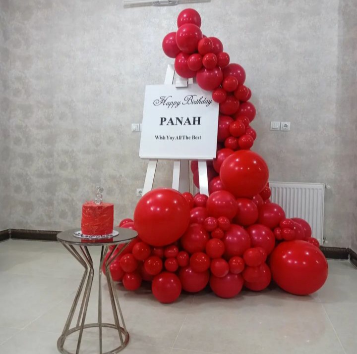 تم تولد دخترانه (6)