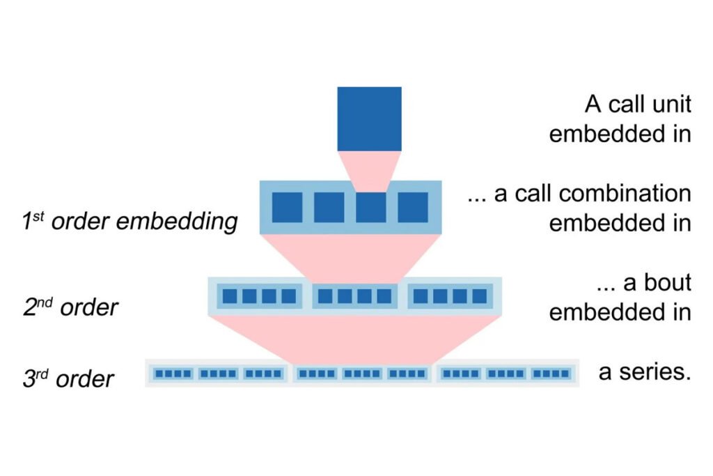 کشف ساختار زبانی پیچیده در اورانگوتان‌ها که فکر می‌شد اختصاصی انسان باشد_اصفهانیا