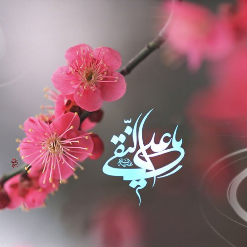 emamhadi-veladat-1
