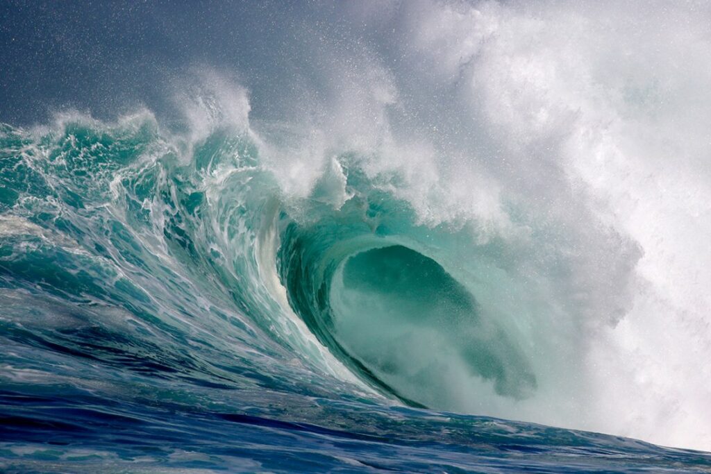 مسابقه عکاسی اقیانوس 2025