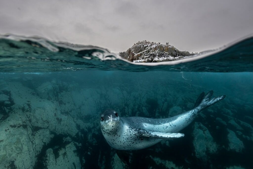 مسابقه عکاسی اقیانوس 2025