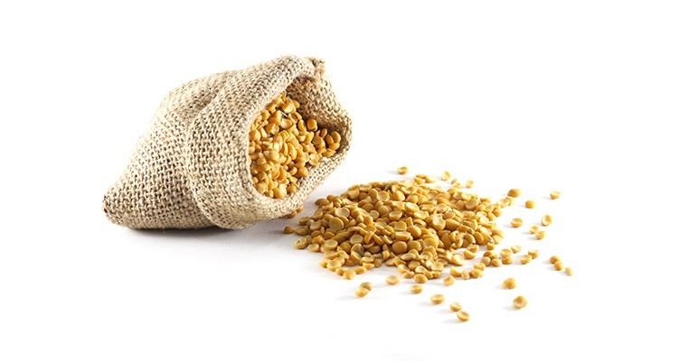 طبع آن گرم است یا سرد؟ 4 cotyledons (1)