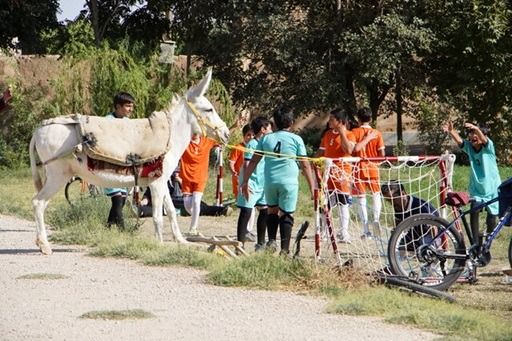 «سفیدبرفی» فیلمی که کودکان را به طبیعت، بازی و همکاری دعوت می‌کند